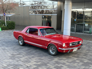 1966年モデル フォード マスタング GT 最上級グレード レストア車