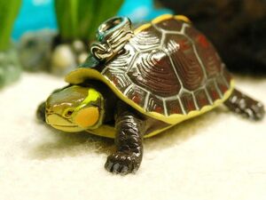 *se maru box game* turtle san strap for mobile phone great popularity ta-toru# strap * tortoise accessory netsuke 