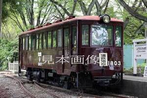 [鉄道写真] 遠州鉄道奥山線仕様キハ1803(復刻塗装) (2368)