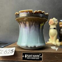 な625 Mサイズ 植木鉢 陶器 検（塊根植物 アガベ パキプス invisible ink raw life factory SRL 信楽焼 伝市鉢カタチ製作所 グラキリス)_画像2