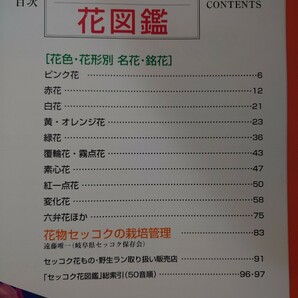 ★美品★［セッコク花図鑑］セッコク花物の名花・銘品を満載 『自然と野生ラン』増刊 新企画出版局 石斛の画像3