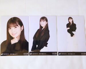 乃木坂46〈小川彩〉【ショートコート】 _ 34th Monopoly 会場リアルミーグリ 京都 生写真 