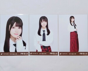 乃木坂46〈伊藤理々杏〉【ネクタイ付きシャツ】コンプ _ 12周年 12th YEAR BIRTHDAY LIVE 会場 生写真 