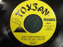 Monica ： I Don't Know Nothing Else To Tell You, But I Love You 7'' / 45s ★ Deep Sister Funk / Rare Groove ☆ c/w Freedom_画像1