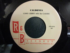 Lord Lebby ： Caldonia 7'' / 45s (( Jamaican R&B / スカ以前 / Louis Jordan カバー! / Reggae レゲエ ))