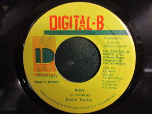 Junior Tucker ： Why 7'' / 45s (( 90's Dance Hall / Reggae レゲエ ))(( 落札5点で送料当方負担