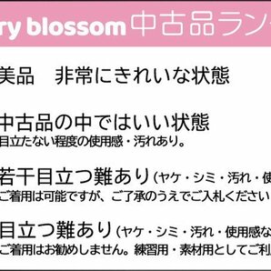 cherry☆y9521qi★訳アリ★ホットな春の衣装市/平安時代 衣裳/十二単/12単衣★薄緑系/コスプレ/平安装束 源氏物語 かぐや姫 お土産/中古品の画像9