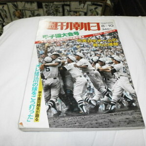 週刊朝日臨時増刊 高校野球 1982年 甲子園大会号 代表49チームの戦力と横顔 / 早実 池田 春日丘 / 早稲田ゼミナールの広告の画像1