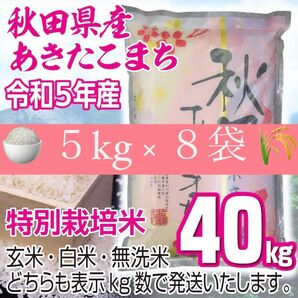 令和５年産 秋田県産 【特別栽培米】 あきたこまち４０kg 無洗米も対応