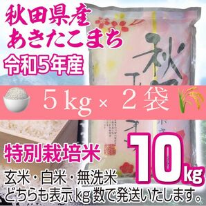 農家直送 秋田県産 令和5年 あきたこまち 10kg 特別栽培米 秋田小町 無洗米も対応