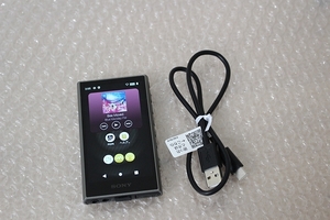 ★送料無料 美品！SONY ソニー WALKMAN/ウォークマン 32GB NW-A306 デジタルオーディオプレーヤー グレー★