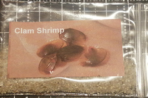 [ free shipping ] kai mi Gin kok Ram shrimp dry endurance egg 