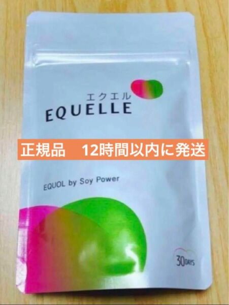 大塚製薬　エクエルパウチ120粒入×１袋