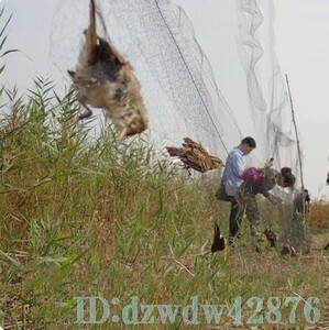 Bc1772: 鳥よけ ネット 動物 網 アウトドア 防鳥 畑 野菜 果物 庭 ガード 保護 カラス ハト スズメ 害虫駆除 鳥 トリ 3ｍ×15ｍ 10ｍ 12ｍ