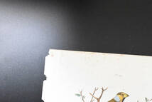 フランスアンティーク　植物画・ 博物画 『昆虫　鳥類　Crosbec』 多色刷り銅版画_画像3