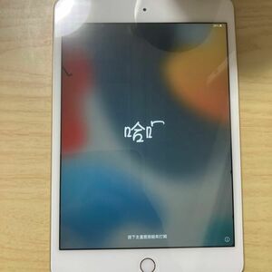 本体のみ iPad mini4 16GB ゴールド 初期化済