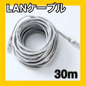 LANケーブル　30m　CAT5e 　グレー　灰色　事務所　テナント　自宅　ランケーブル　長い　オフィス用品　ケーブル　インターネット