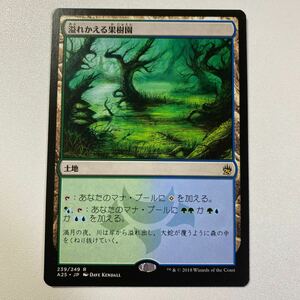 溢れかえる果樹園　日本語　MTG マスターズ25