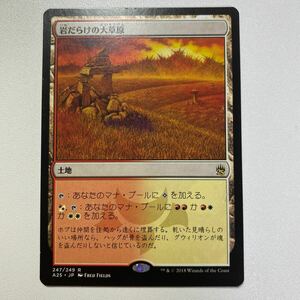 岩だらけの大草原　日本語　MTG マスターズ25