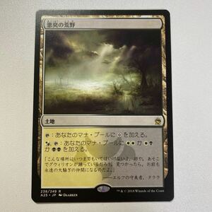 悪臭の荒野　日本語　MTG マスターズ25