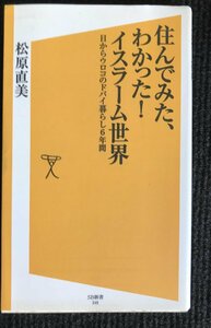 住んでみた、わかった! イスラーム世界 目からウロコのドバイ暮らし6年間 (SB新書)