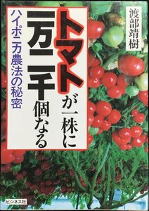 トマトが一株に一万二千個なる?ハイポニカ農法の秘密