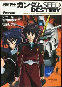 機動戦士ガンダムSEED DESTINY(1) 怒れる瞳 (角川スニーカー文庫)