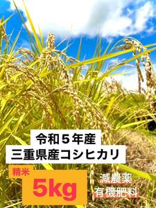 令和5年収穫　三重県産コシヒカリ 5kg 精米（白米）産地・農家直送②