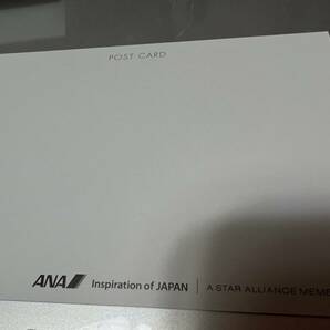 ANA ポストカード 2枚セット 送料84円の画像3