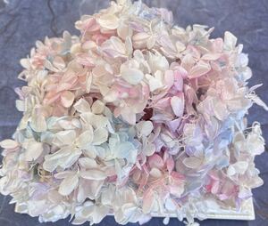  preserved flower pillar mid hydrangea 20g rom and rear (before and after) mermaid pearl 
