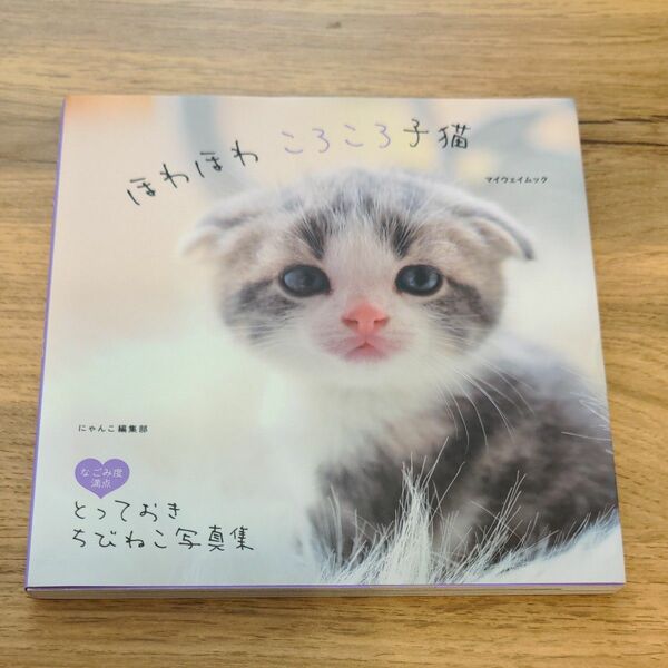 猫 本 ほわほわころころ子猫 （マイウェイムック） にゃんこ編集部／〔編集〕