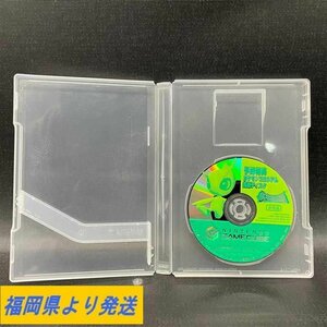 【動作品】NINTENDO GAMECUBEソフト ポケモンコロシアム 予約特典拡張ディスク 非売品 動作/状態説明あり＊1週間保証【福岡】