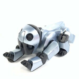 SONY ソニー ERS-210 バーチャルペットAIBO＊ジャンク品