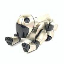 SONY ソニー ERS-210 バーチャルペットAIBO＊ジャンク品_画像1