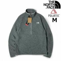 1円～!売切!【正規新品】THE NORTH FACE◆ALPINE POLARTEC 100 1/2-ZIP JACKET フリース ハーフジップ US限定 軽量(M)グレー 181024-35_画像3