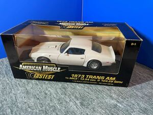 No.45 TRANS AM 1973 1/18 トランザム