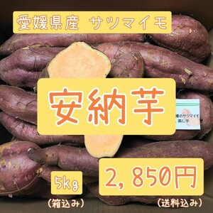 愛媛県産サツマイモ【安納芋】熟成 5kg