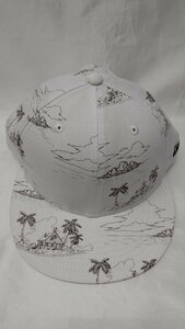 ドラゴンボール NEWERA（ニューエラ） キャップ カメハウス ホワイト 白 帽子