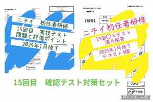 15回目ニチイ初任者研修知識と技術の評価テスト　評価票セット