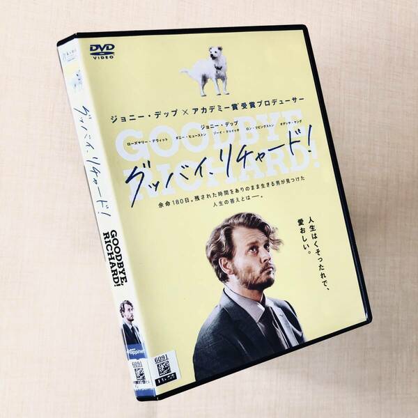 グッバイ、リチャード! DVDレンタル落ち