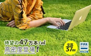 【期間限定1000円値下げ】IFA認定工場製造 人工芝 ロール1m×10m 芝丈35mm 高密度47万本/m2 ピン22本つき 人工芝生 （2色選択可）