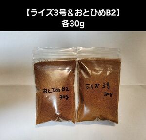 メダカ餌【ライズ3号＆おとひめB2】各30gセット