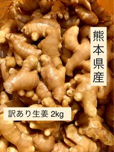 熊本県産　訳あり生姜　2kg