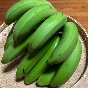 石垣島産　　　台湾バナナ