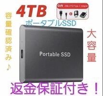 大人気外付けハードディスク ポータブル ストレージ SSD4TB._画像1