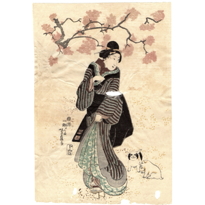 【浮世絵】真作「歌川芳藤」木版画 江戸時代 当時摺 美人画 犬 桜 初出し ukiyoe yoshifuji 9