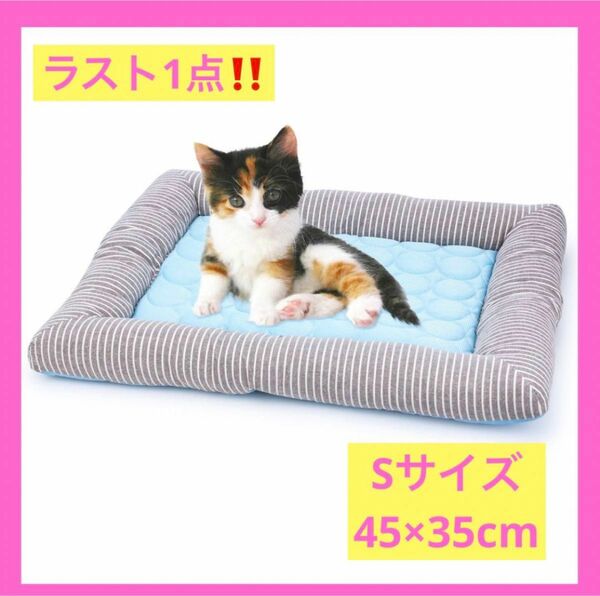 【S】ペット用 夏 犬 マット ベッド 猫 小型 スクエア　ブルー　ひんやり