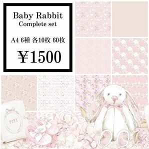 【D-22】 Baby Rabbit コンプリートセット 60枚
