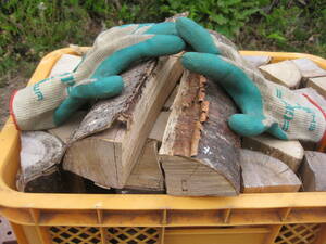 30cm サクラ 桜 約18kg 乾燥薪 1.5年乾燥 キャンプ 発送 長野 焚火 薪 焚火台 薪ストーブ