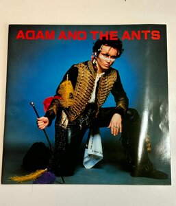 『Adam and the Ants（アダム&ジ・アンツ）』　1981年　ジャパンツアー　パンフレット